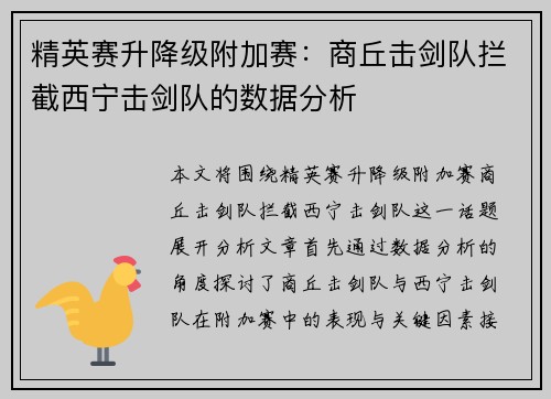 精英赛升降级附加赛：商丘击剑队拦截西宁击剑队的数据分析