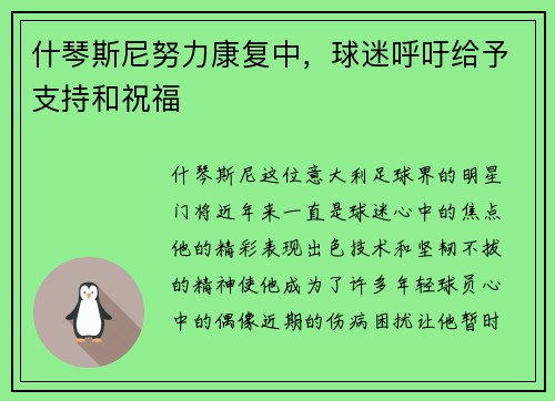什琴斯尼努力康复中，球迷呼吁给予支持和祝福